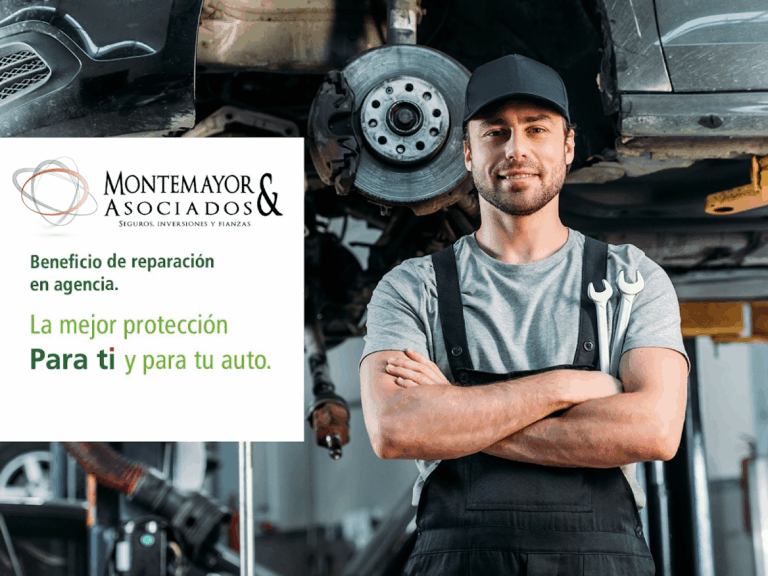 26683 montemayor y asociados seguros e inversiones 768x576