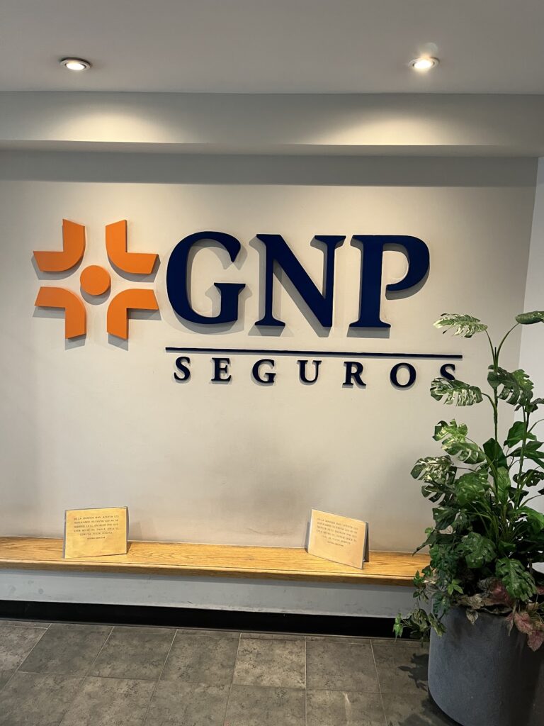 26744 gnp seguros pachuca 768x1024