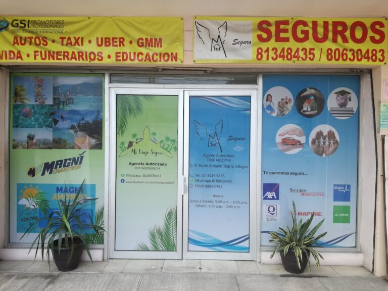 26814 mi seguro 768x576