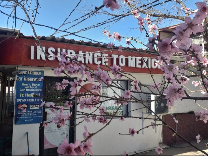 26916 nogales insurance