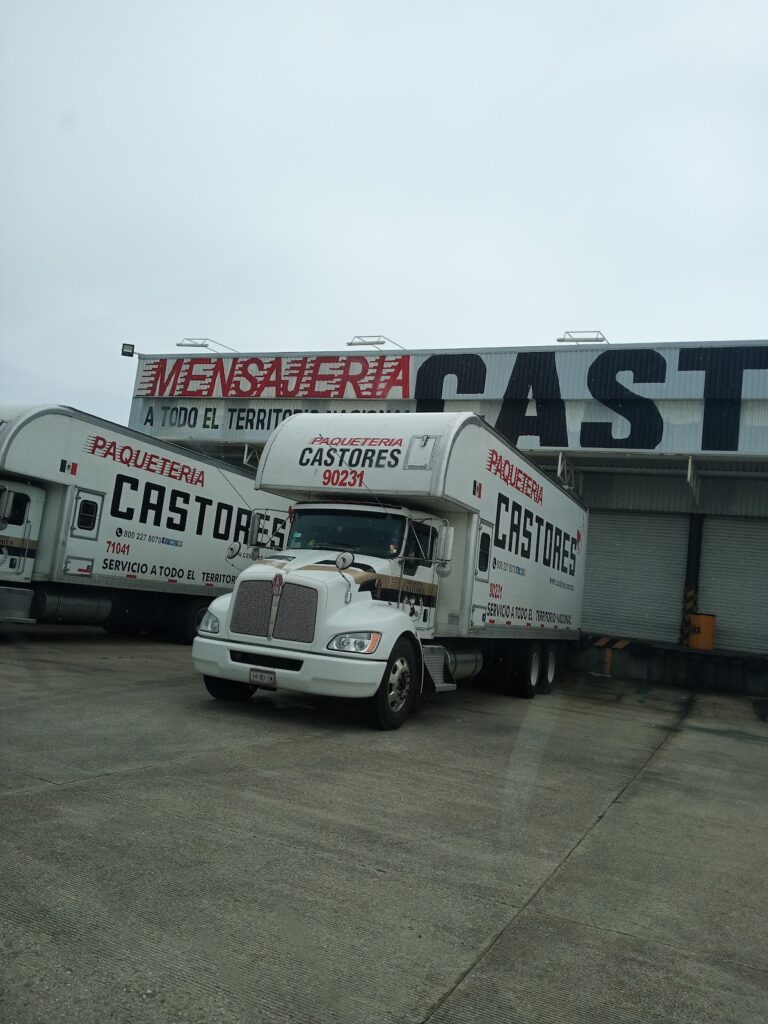 27516 paqueteria castores 768x1024