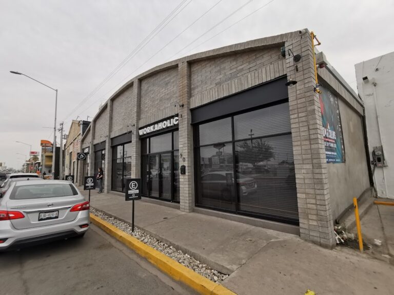 27545 workaholic 768x576