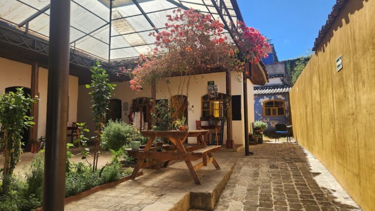 28029 la casa en el arbol instituto cultural 768x433