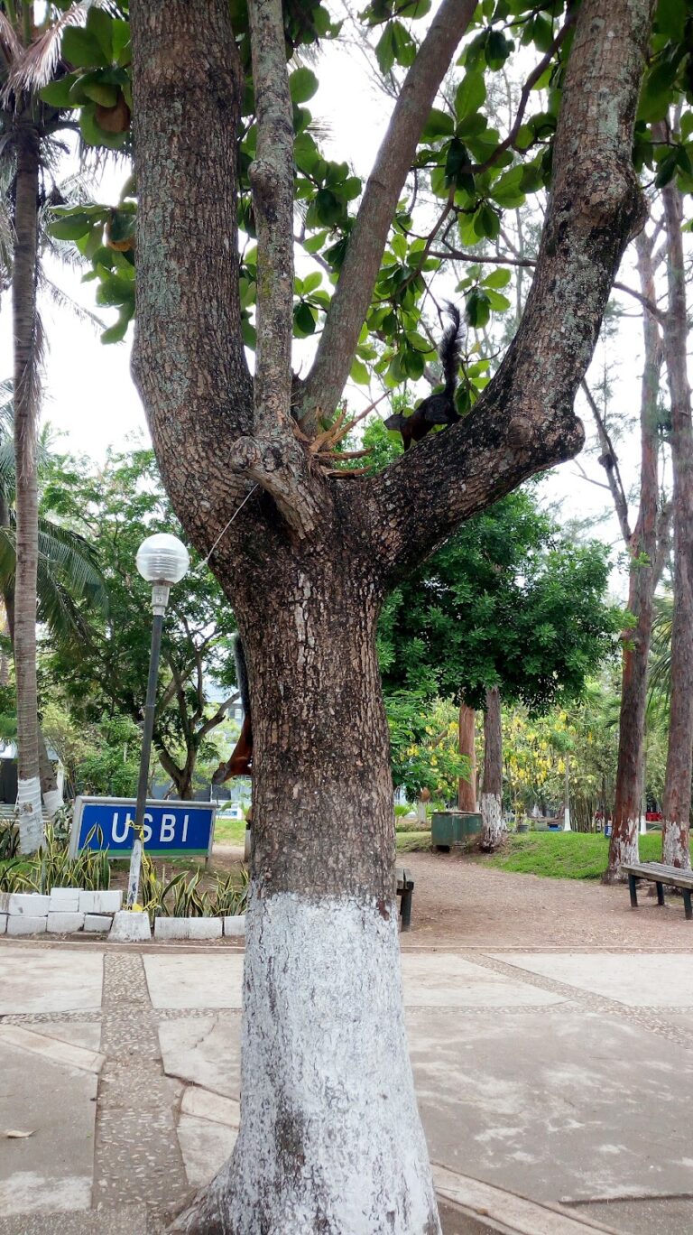 28422 centro de idiomas universidad veracruzana 768x1368