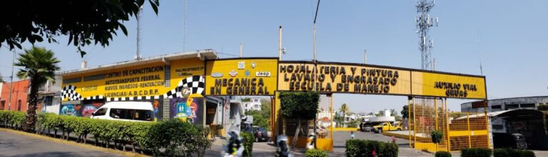 28684 ama morelos 768x221