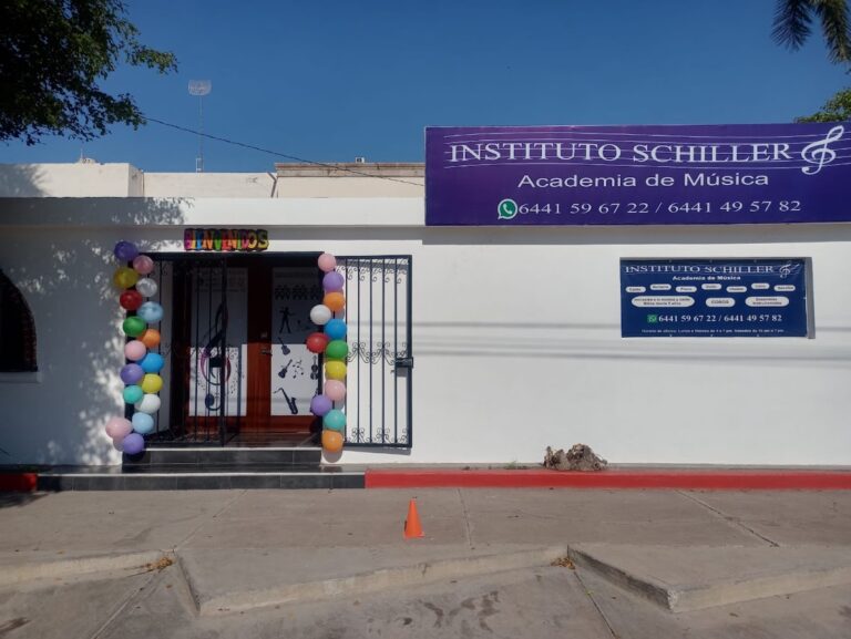 29226 instituto schiller 768x577
