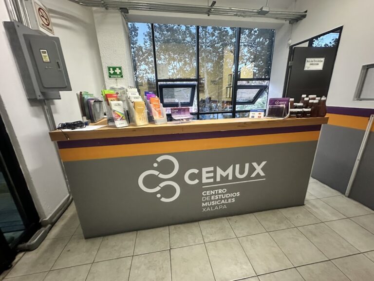29298 centro de estudios musicales de xalapa 768x576