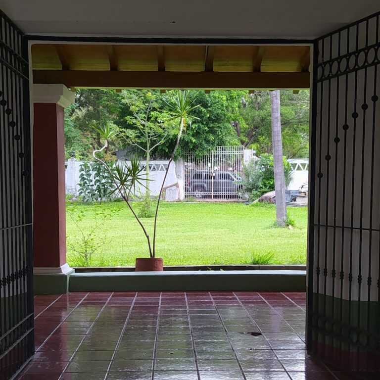 29436 escuela de artes visuales universidad de colima 768x768