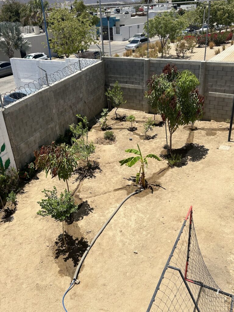 29834 primaria gap san jose del cabo 768x1024