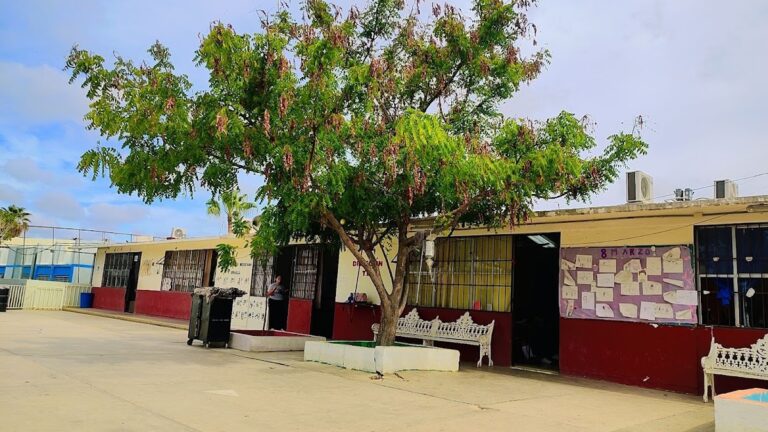 29868 primaria amelia wilkes 768x432