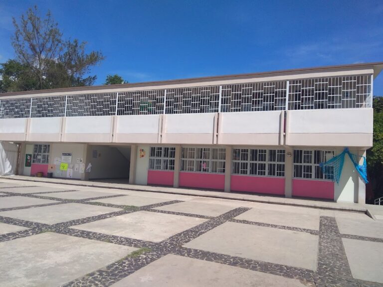 29934 escuela primaria gral. vicente guerrero 768x576