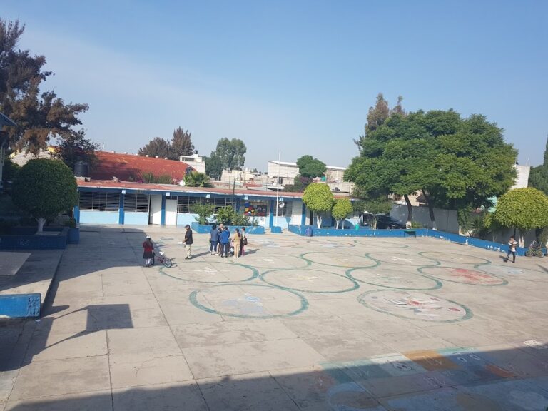 29993 escuela primaria matutina 8220estado de mexico8221 768x576
