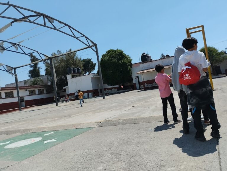 30065 escuela primaria jose palomar 768x579