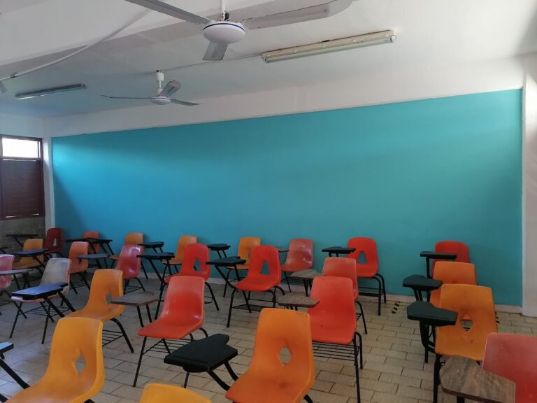 30109 escuela primaria jesus cetina salazar 768x576