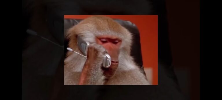 30160 escuela primaria francisco peralta galvez 768x346