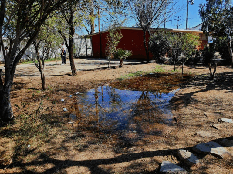 30265 escuela secundaria tecnica numero 2 768x576
