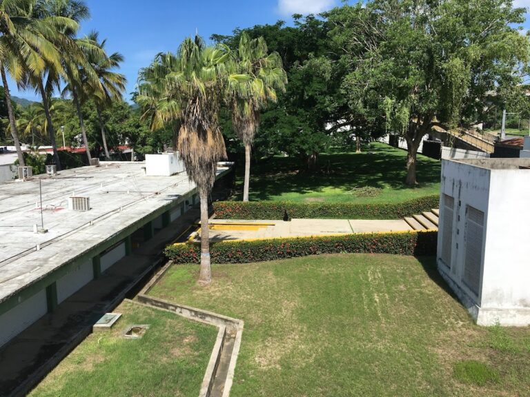 30835 universidad de colima campus el naranjo 768x576