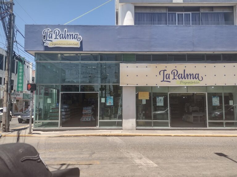 31514 papeleria la palma aguascalientes 768x576