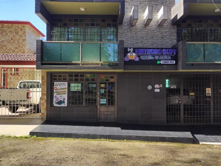 3183 meteorosoft 768x576