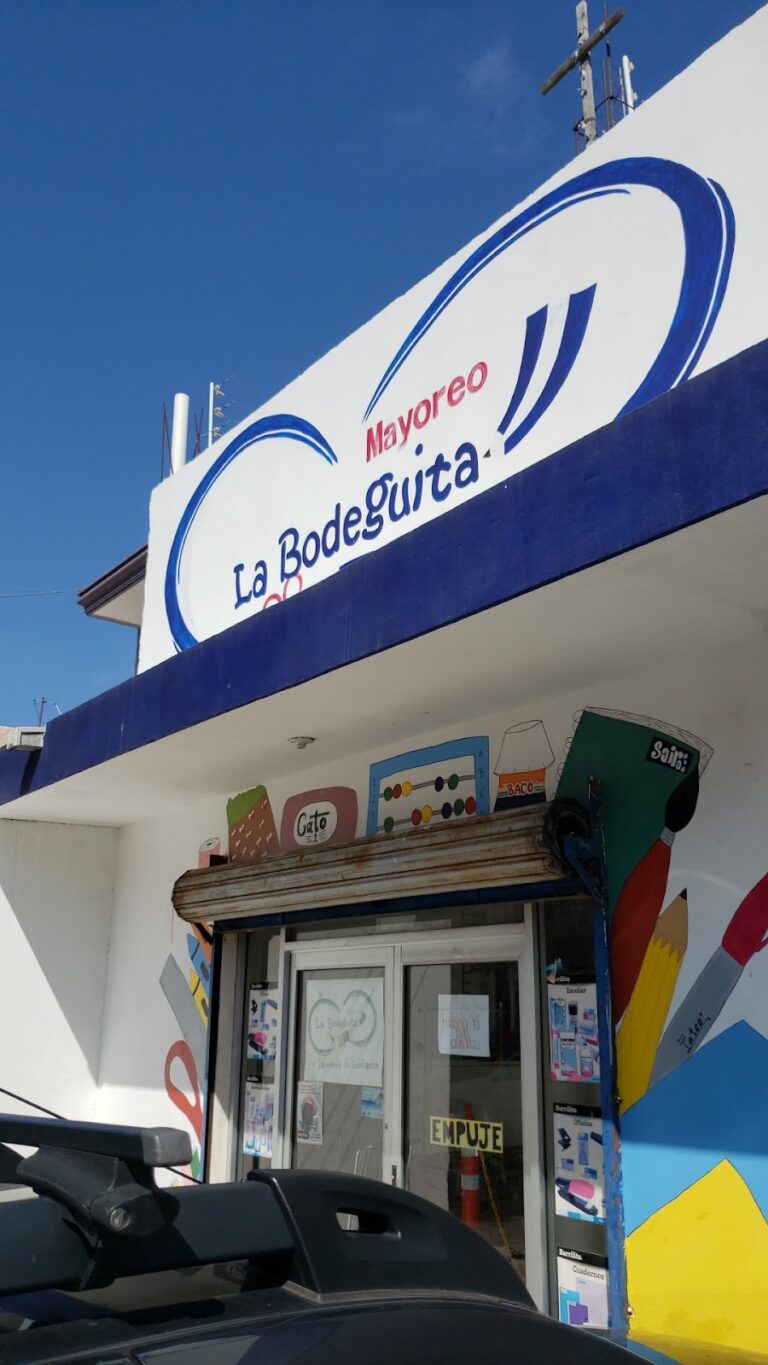 31848 mayoreo la bodeguita 768x1365