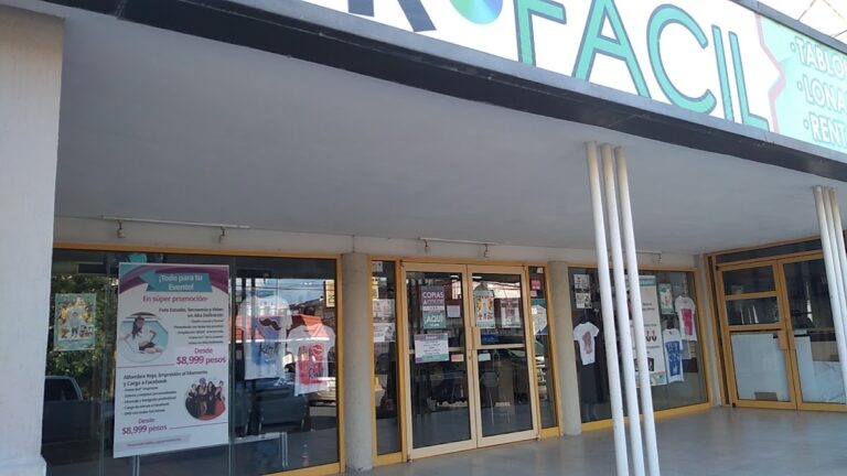 32473 foto color facil 8211 heron ramirez 768x432