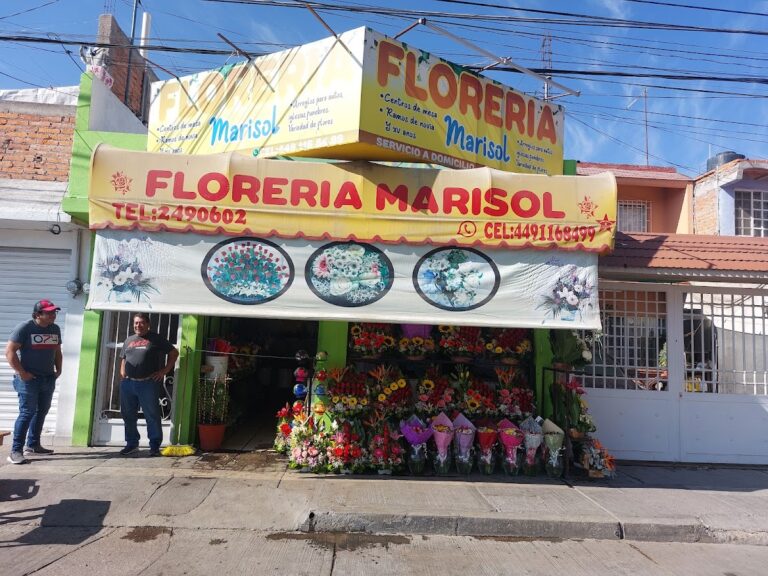 32991 floreria marisol 768x576