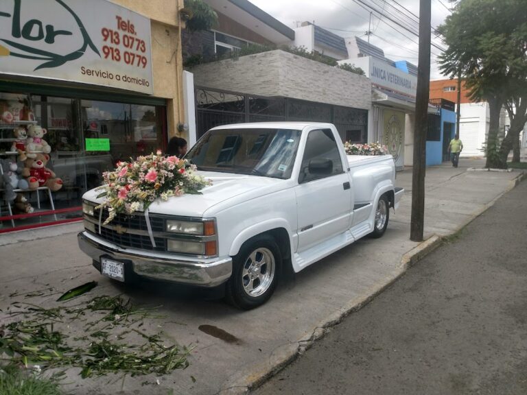 32998 floreria bella flor 768x576