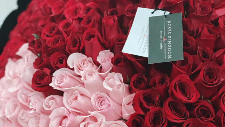 33024 roses kingdom 768x433