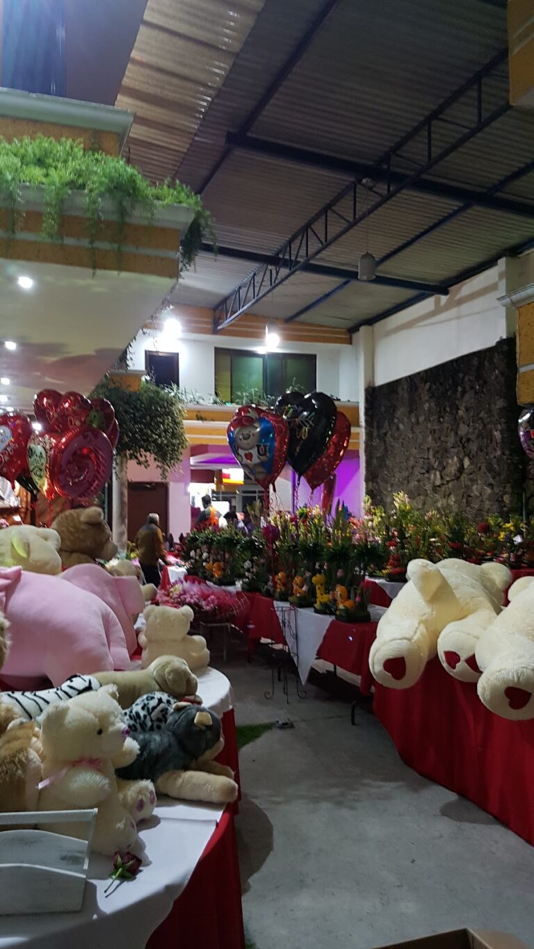 33330 floristeria las americas 768x1365