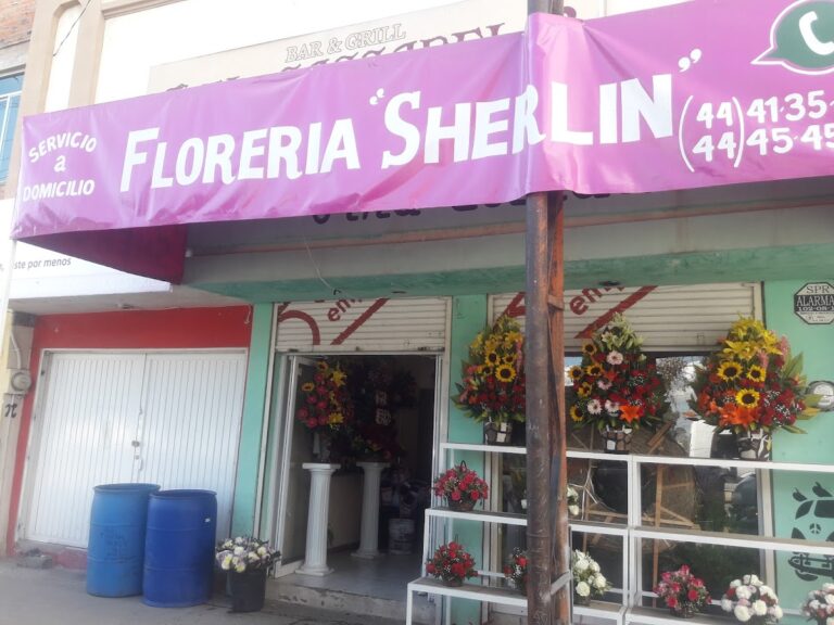 33386 floreria sherlin en san luis potosi 768x576