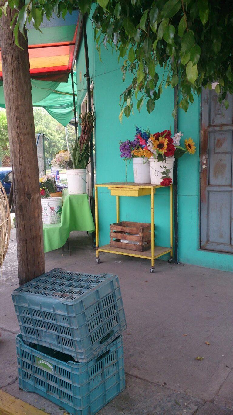 33392 floreria saucito 768x1365