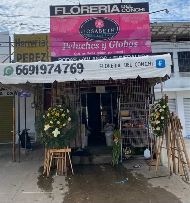 33400 floreria del conchi josabeth 768x823