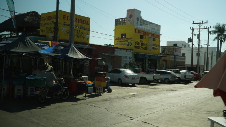 33426 floreria central de flores 768x432