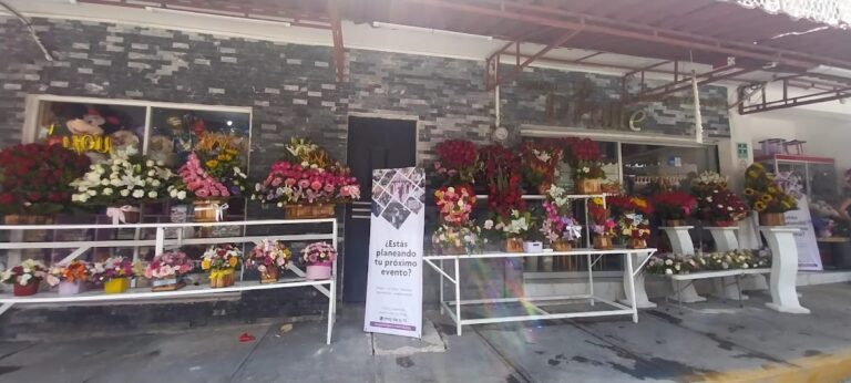 33428 boutique dtalle floral 768x346