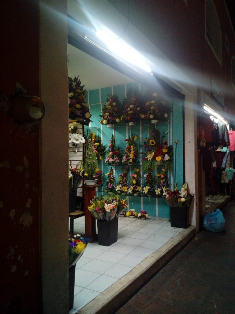 33509 floreria cristo rey 768x1024