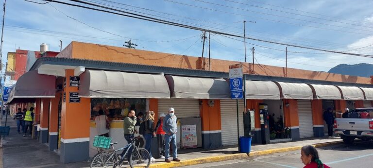 33520 mercado de flores venustiano carranza 768x346