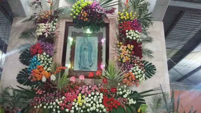 33543 floreria plateros 768x432