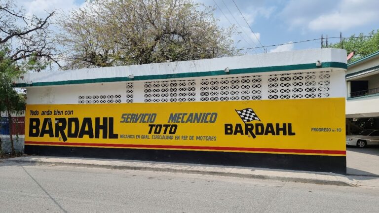 33895 servicio mecanico 8220toto8221 768x432