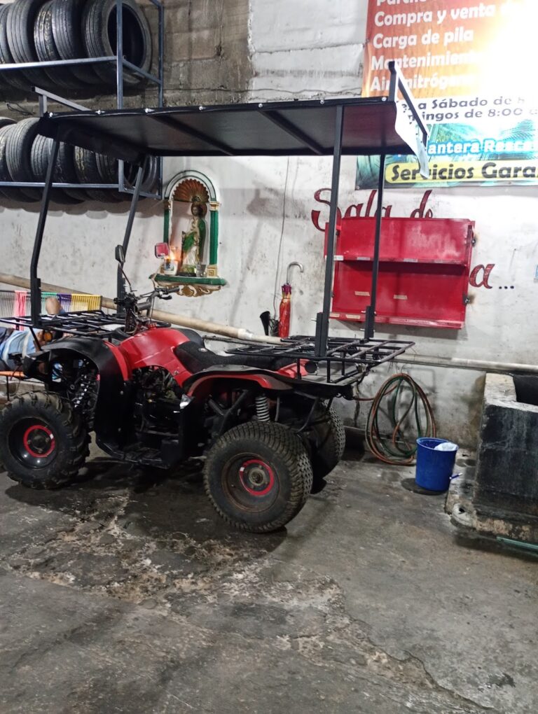 34491 llantera chay 768x1020