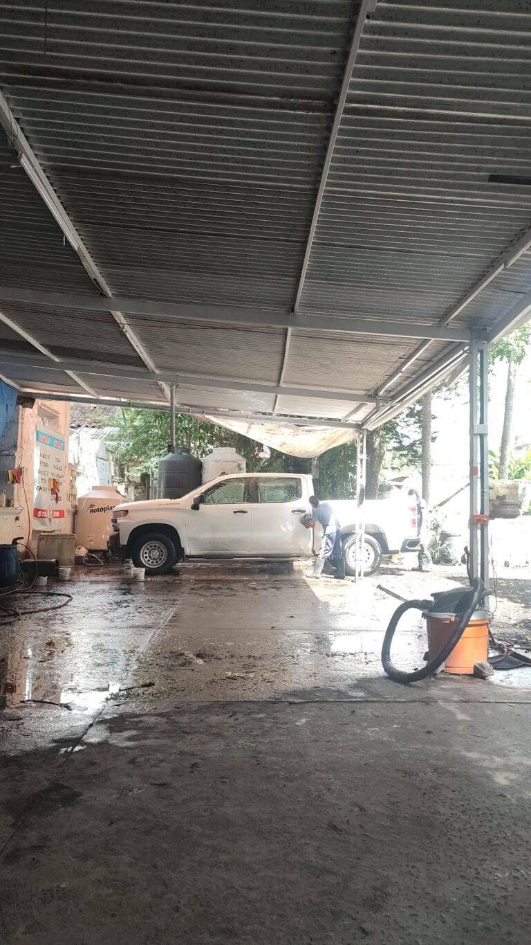 34974 auto 41 768x1365