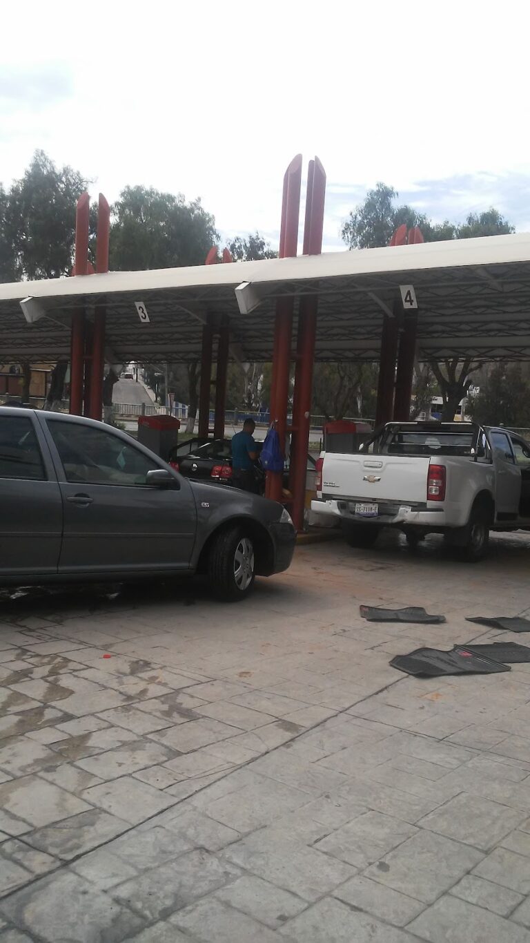 35029 monos car wash 768x1365