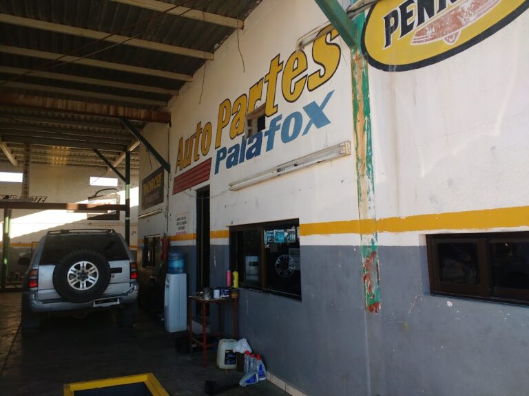 35090 autopartes palafox 768x576