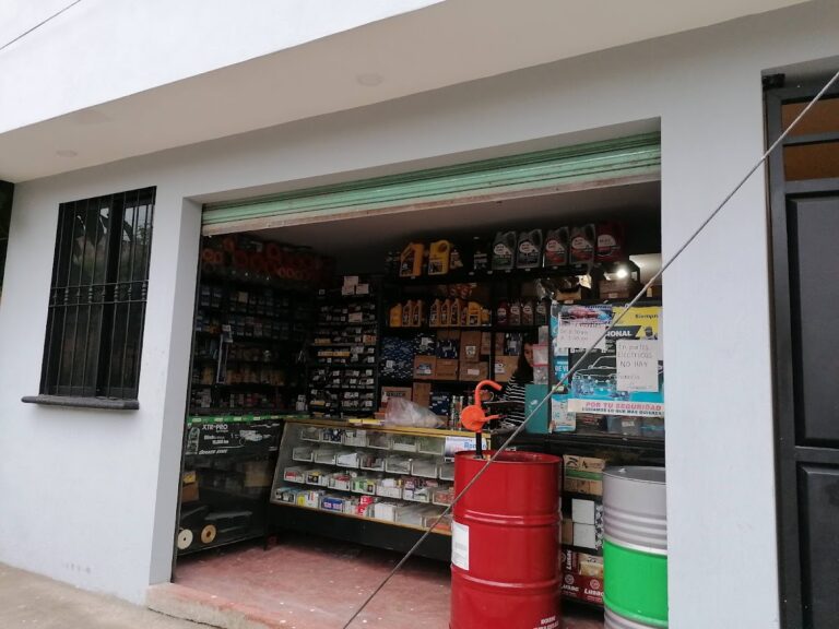 35543 refaccionaria roman 768x576