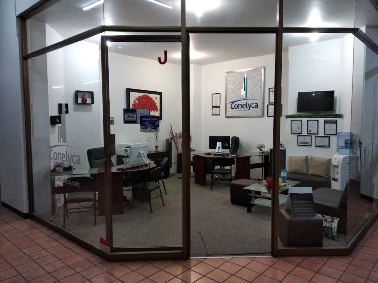 35604 conelyca inmobiliaria s.r.l. de c.v 768x576