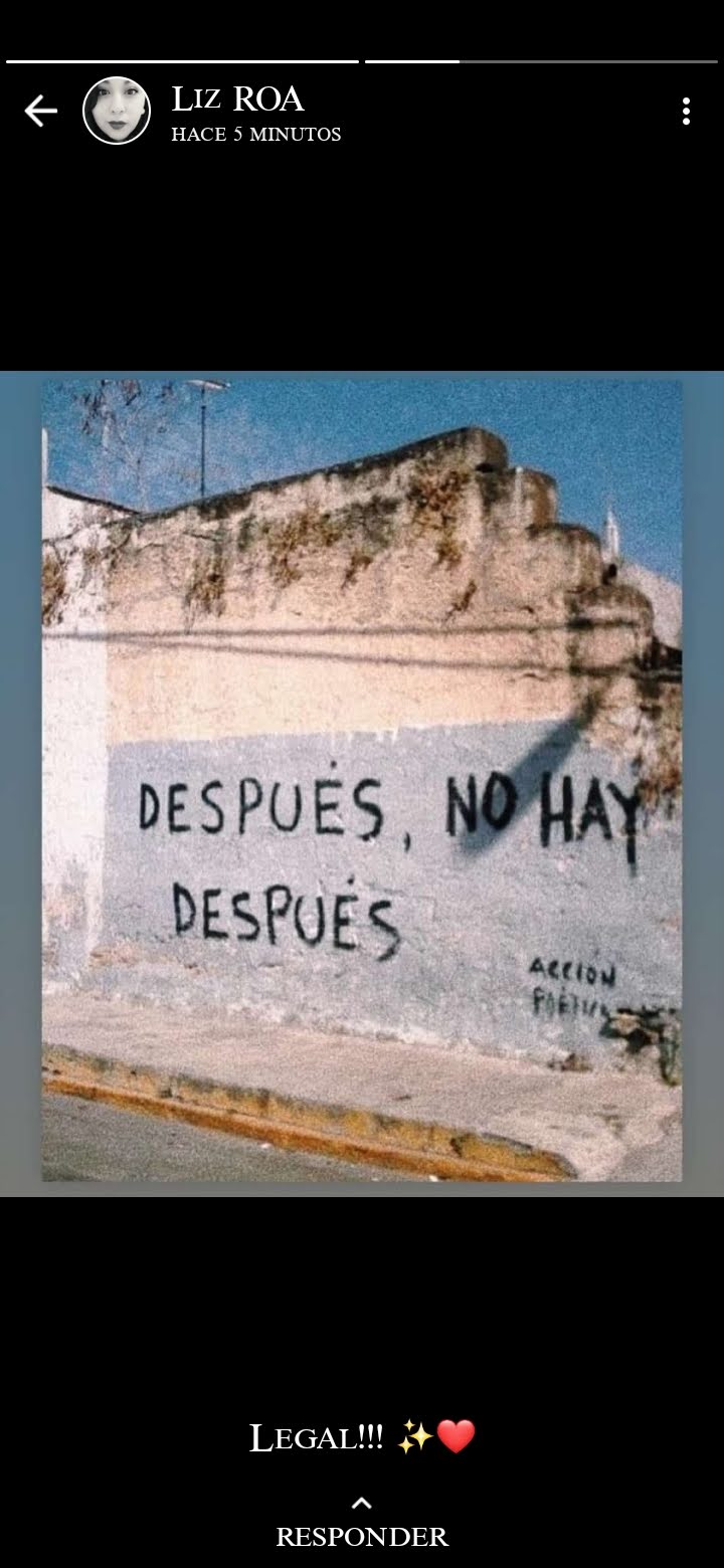 3595 constructora textor