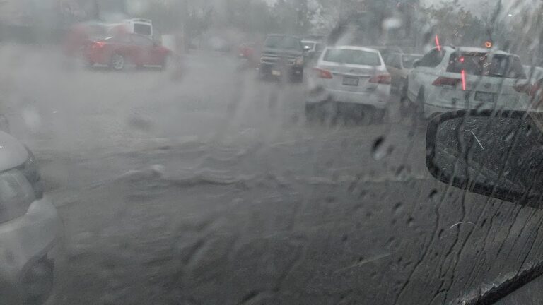 36155 notaria 76 768x432