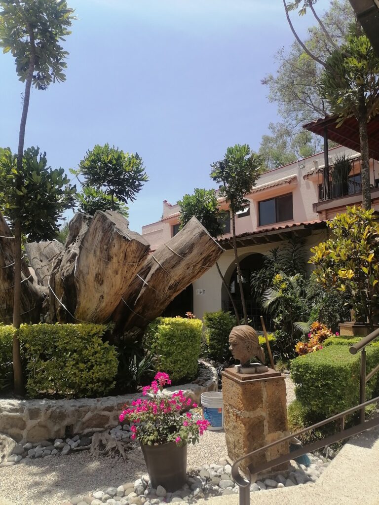 36356 notaria dos 768x1024