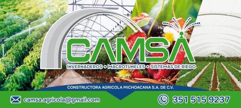 3643 constructora agricola michoacana sa de cv 768x344