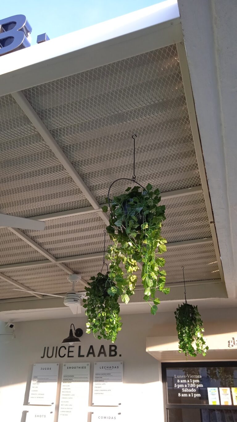 36453 notaria publica 27 768x1365