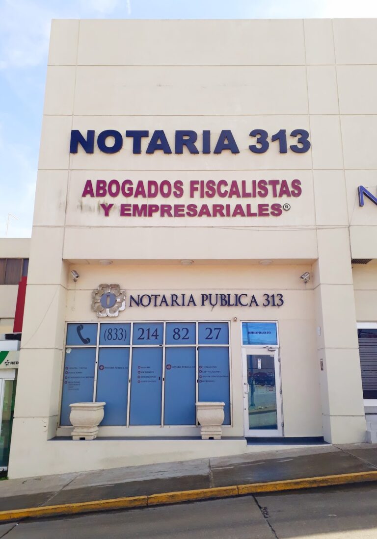 36512 notaria publica n° 313 768x1099